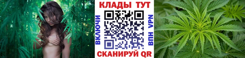 Купить наркотики Спас-Деменск Alpha-PVP Меф mega ONION МАРИХУАНА ГАШИШ