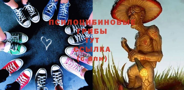 хмурый Балабаново