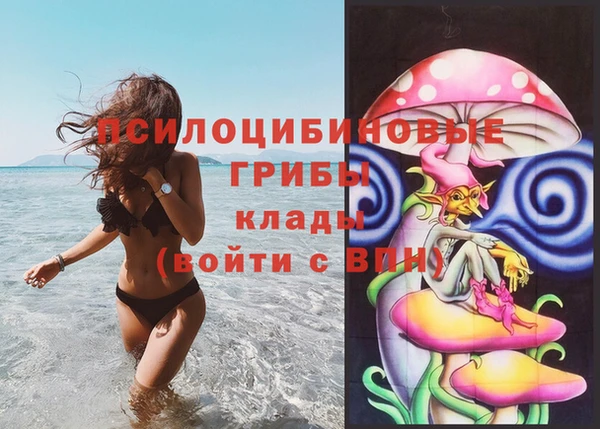 хмурый Балабаново
